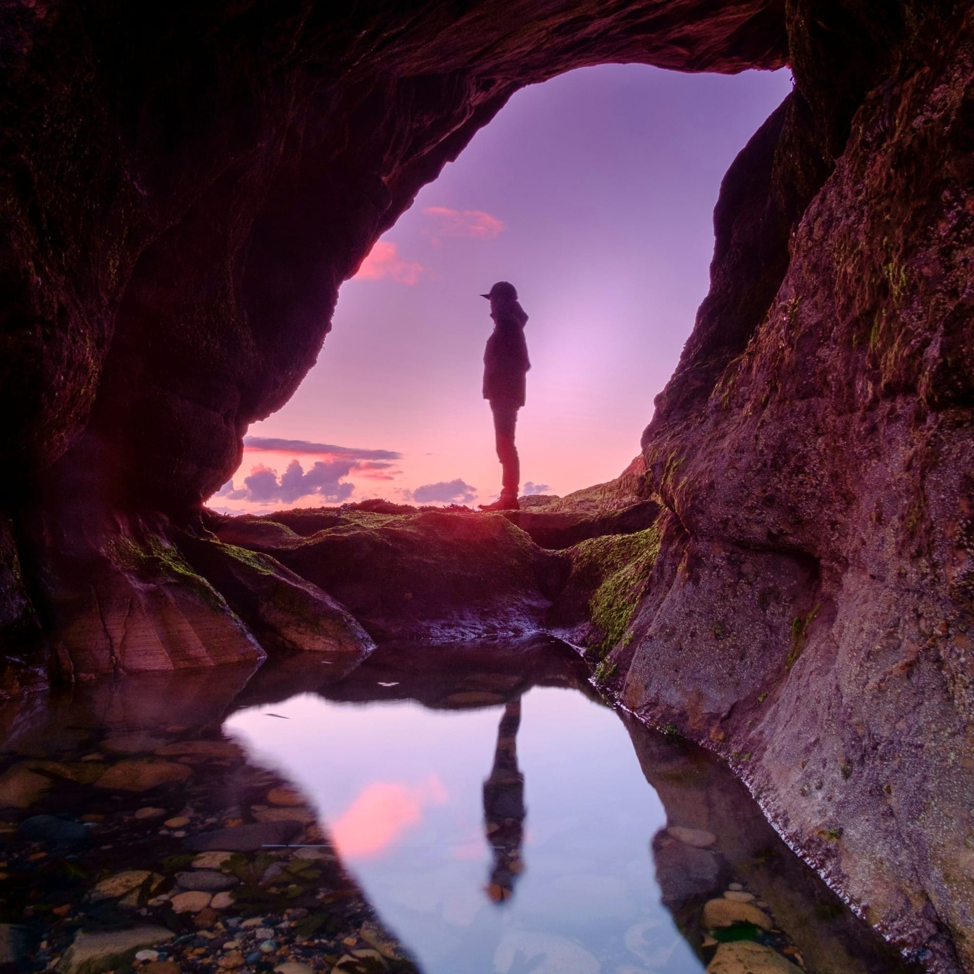 Narcisismo evolutivo