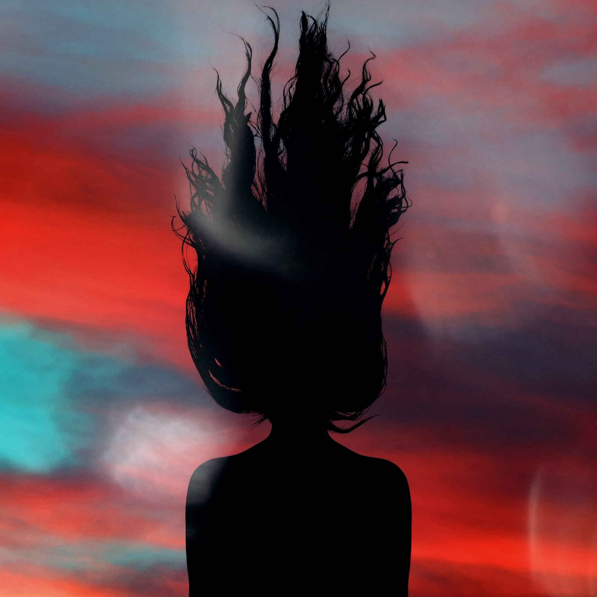 Evoluzione Programmata