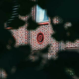 Meno 9.999 malattie con un Click!