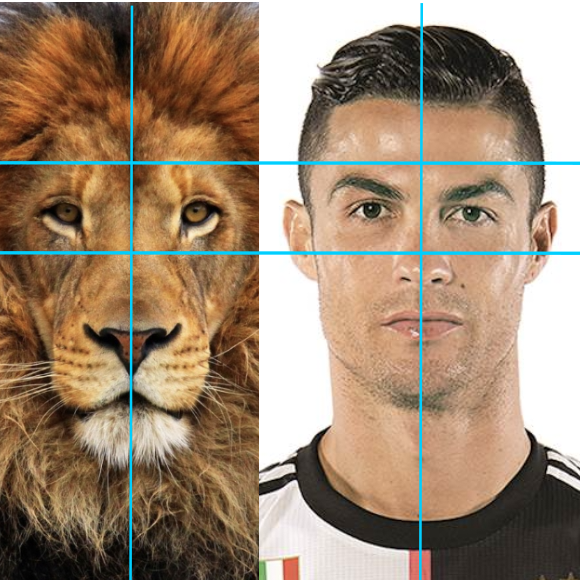 Questione di integrità