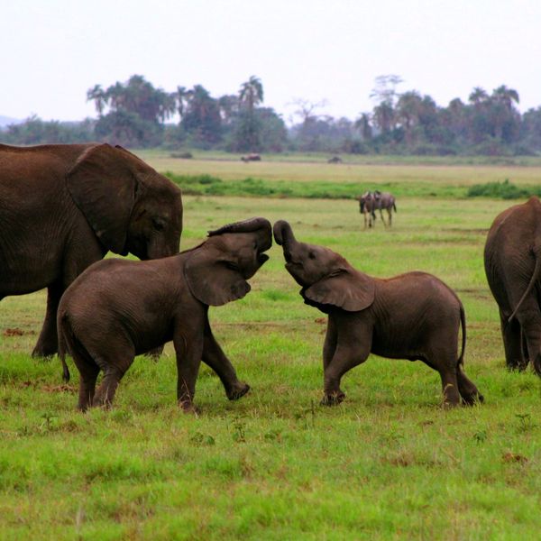 Dove trovare la felicità?
