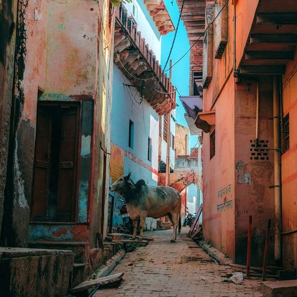 Il legame con la natura