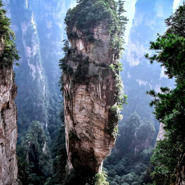 Avatar: il viaggio di Jake e la riconquista del corpo