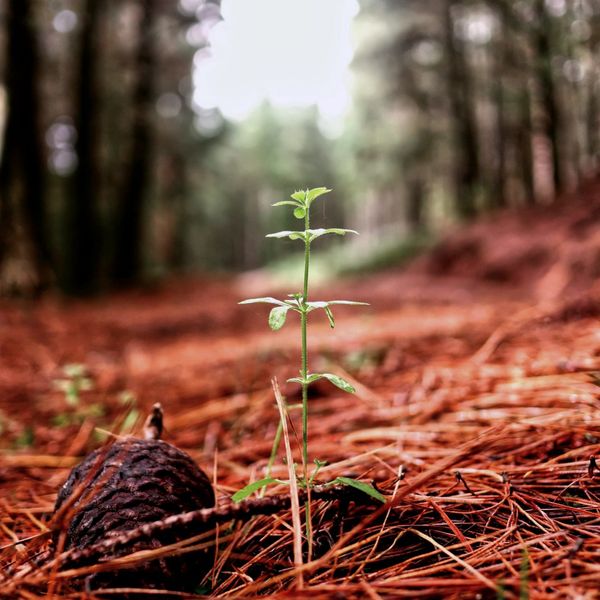 Da dove iniziare: il viaggio di ritorno a te stesso