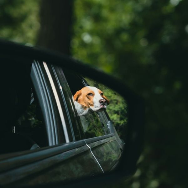 Se non esistessero gli specchi?