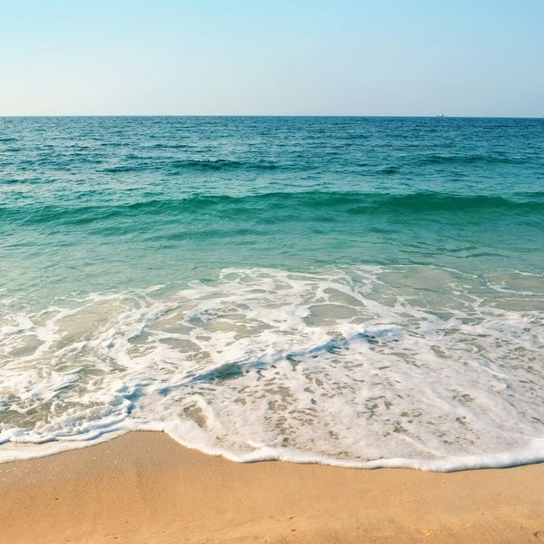 Un bagno di enterocezione