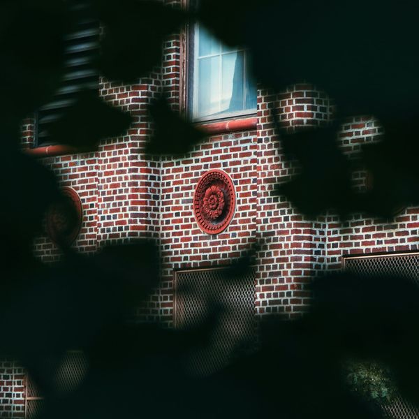 Meno 9.999 malattie con un Click!