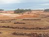 Alcoa's plans to mine WA's jarrah forest for 20 more years released