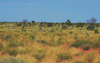 Australian Renewable Energy Hub's $50b plan shrinks and drops hydrogen
