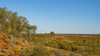 Rio Tinto moves Winu copper mine forward with public environmental review