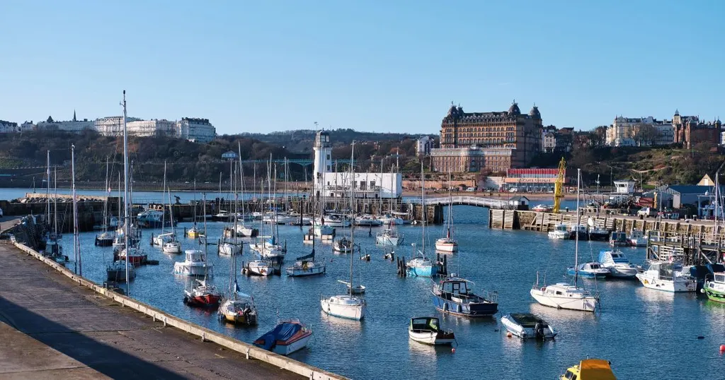 🌊 Scarborough Vibes: What's On This Week 🎶🍴