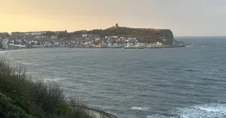 🎶 This Weekend in Scarborough: Live Music, Festivals & a Huge Announcement! 🎉