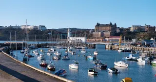 🌊 Scarborough Vibes: What's On This Week 🎶🍴