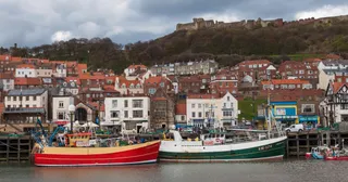 Plan Your Week in Scarborough - Pitch Problems, Seaside Day Trips & Live Music Returns
