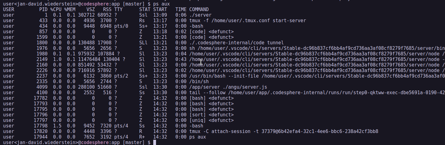 ps aux