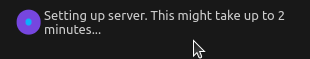 Loading while setting up the VS Code server