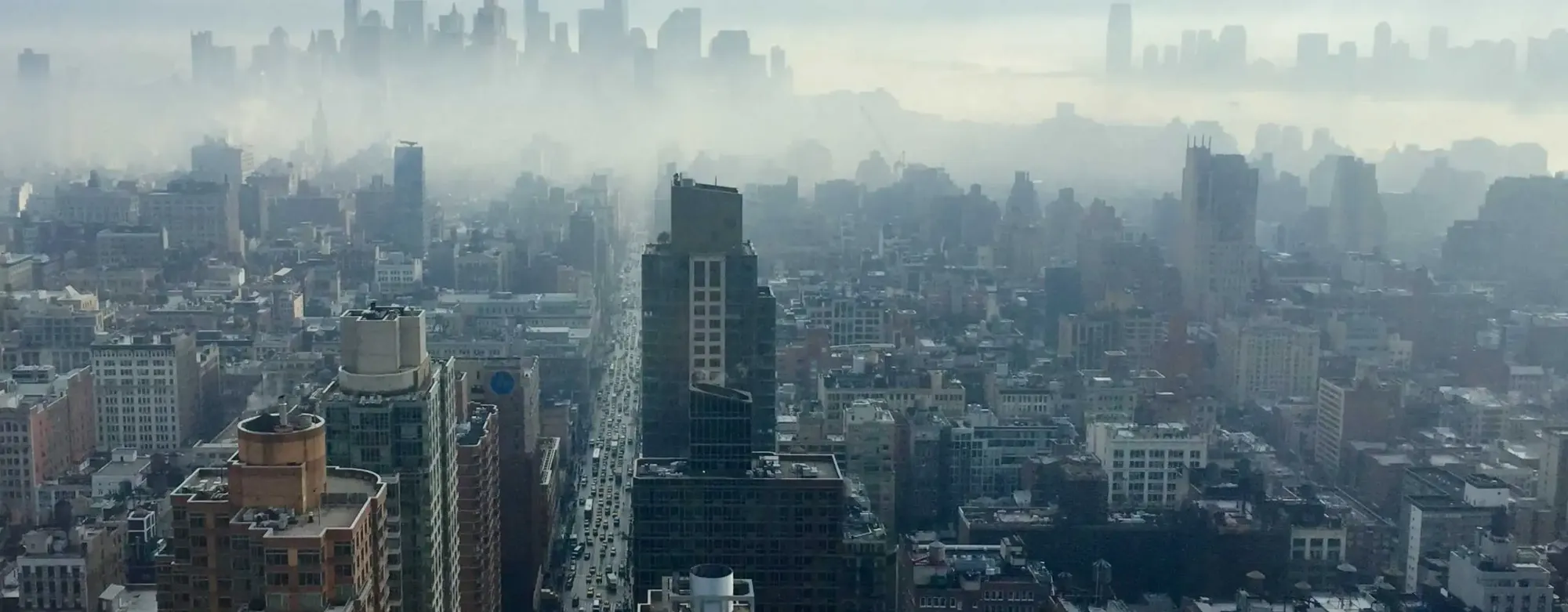 Image sent to Multimodel