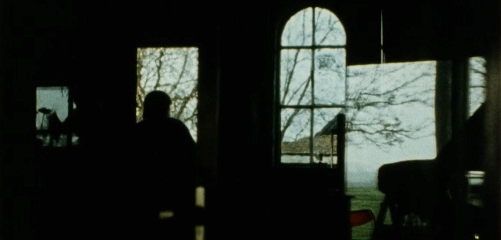 An image is of a tree out of a window and the silhouette of a person are fragmented through a mirror.