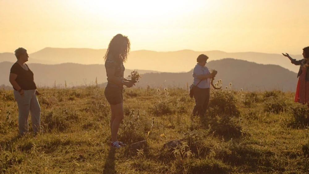 Four women pick flowers on a mountainside covered in golden hues.
