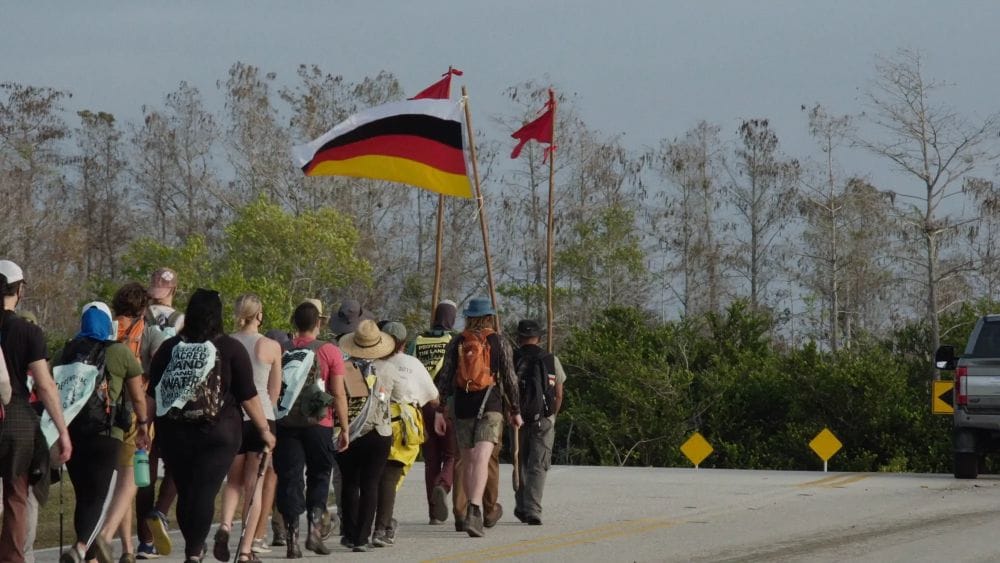 A line of activists walk down a road in Florida's Everglades, some waving flags.