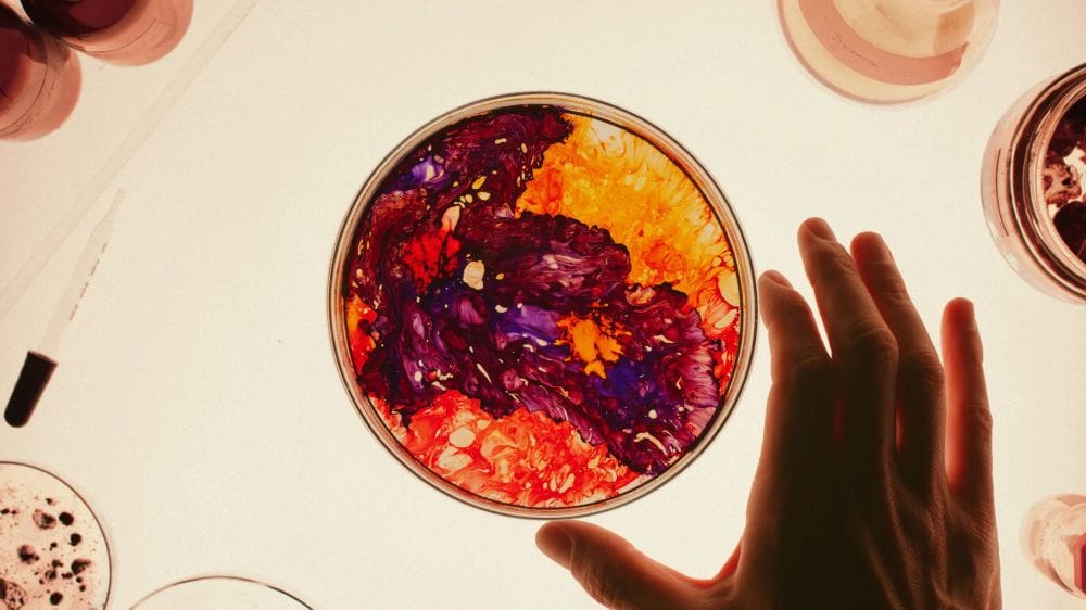 A petri dish full of a substance of yellow, red, purple and orange.