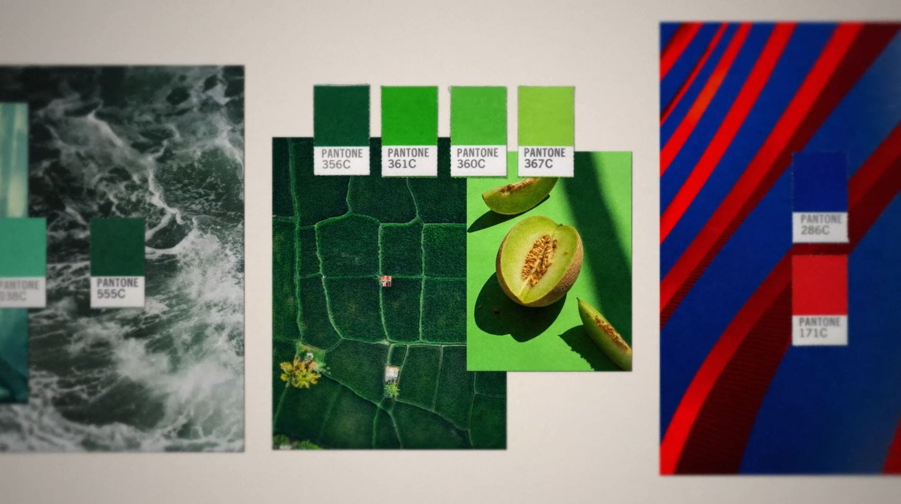 A graphic showing various images, predominantly green and red, and their Pantone shades.