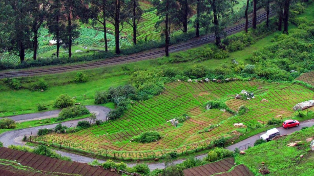 My First Impression of Ooty