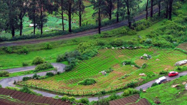 My First Impression of Ooty