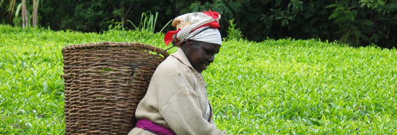 The Logical Correctness of Fair Trade