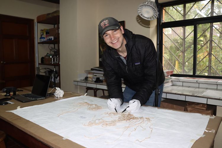 Untangle, But Never Untie