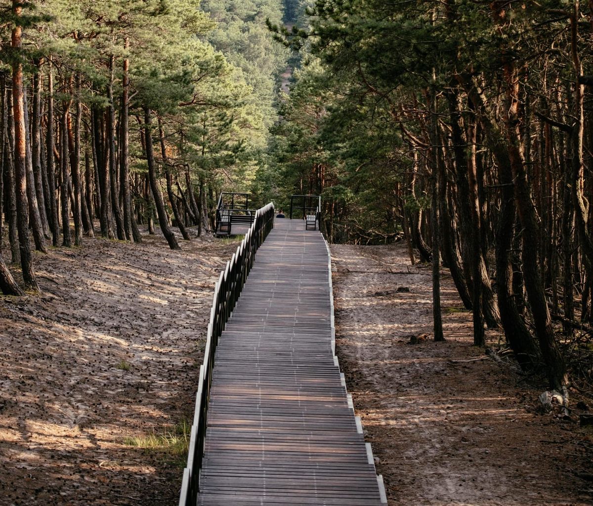 Kennst du schon diese 5 Nationalparks in Europa abseits des Massentourismus?