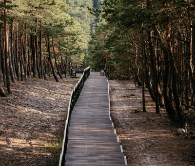 Kennst du schon diese 5 Nationalparks in Europa abseits des Massentourismus?