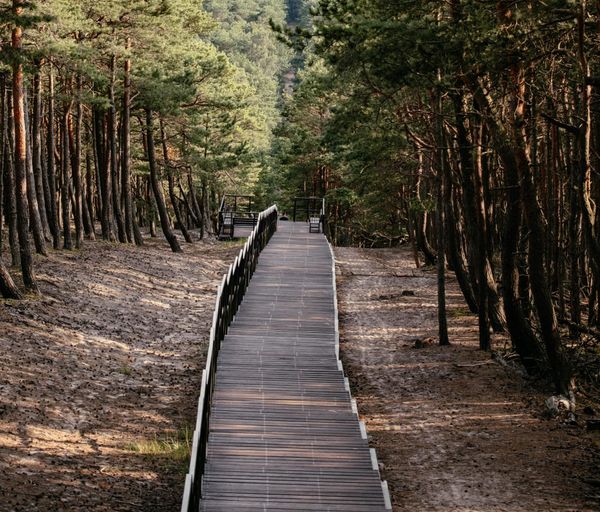 Kennst du schon diese 5 Nationalparks in Europa abseits des Massentourismus?