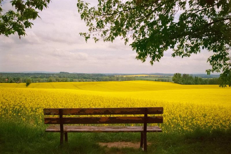 Sommerferien 2025: So wird deine Reise ganz entspannt
