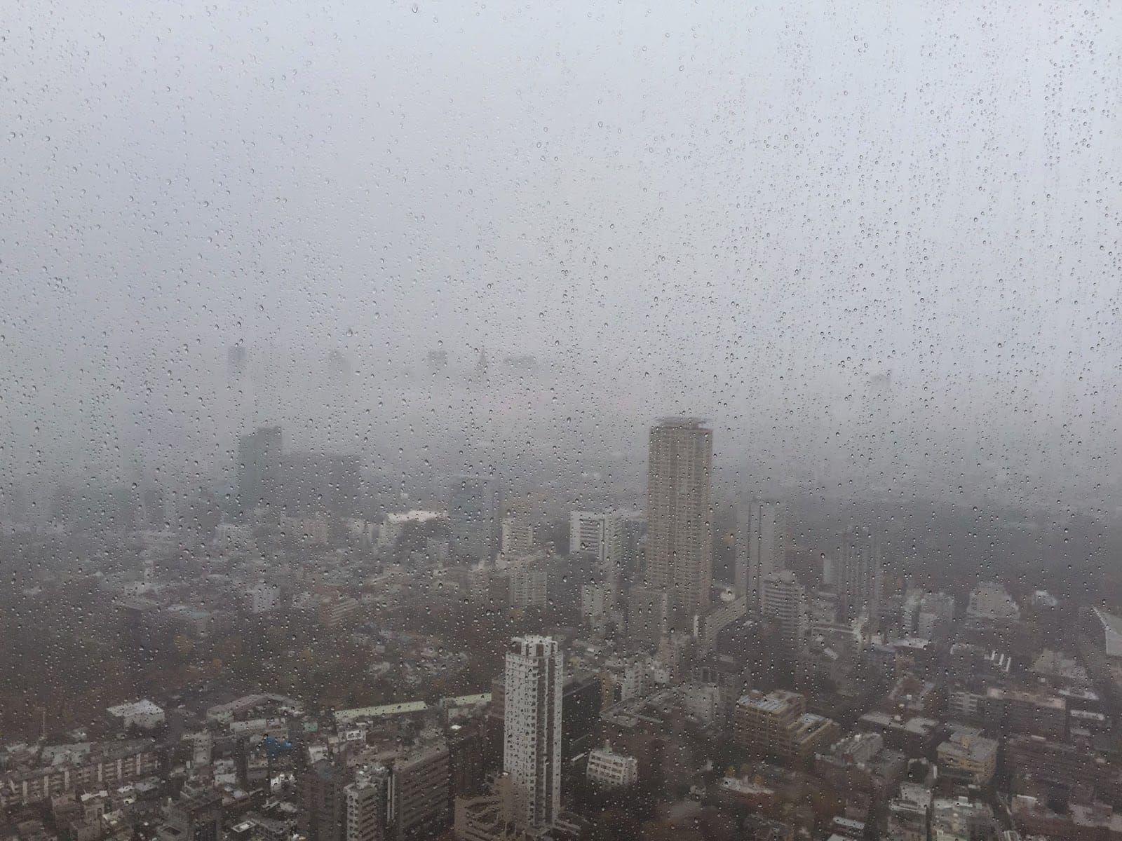 Rain Drops in Tokyo