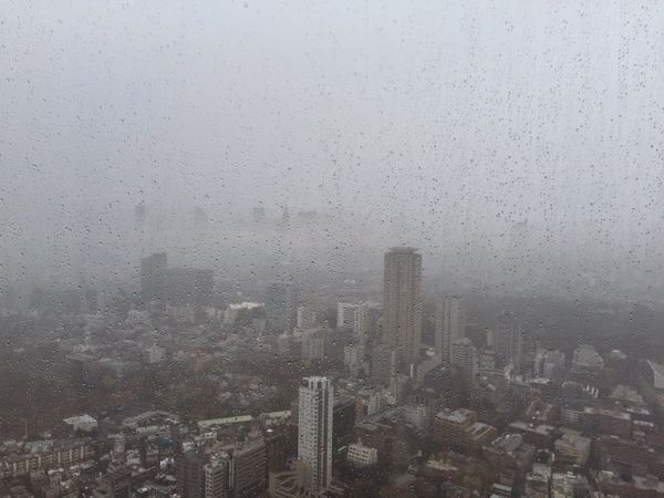 Rain Drops in Tokyo