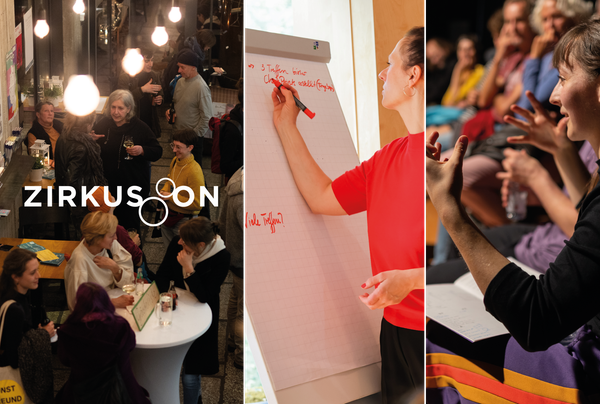 Zirkus ON: How the German creation programme has nourished the national circus sector