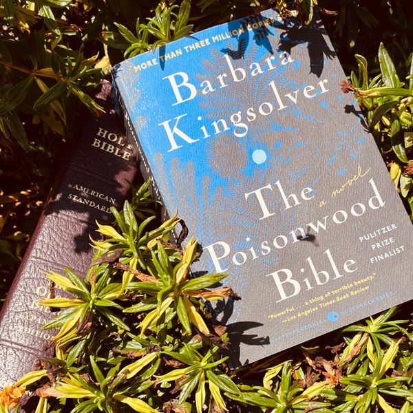 Book Bound #46 – The Poisonwood Bible