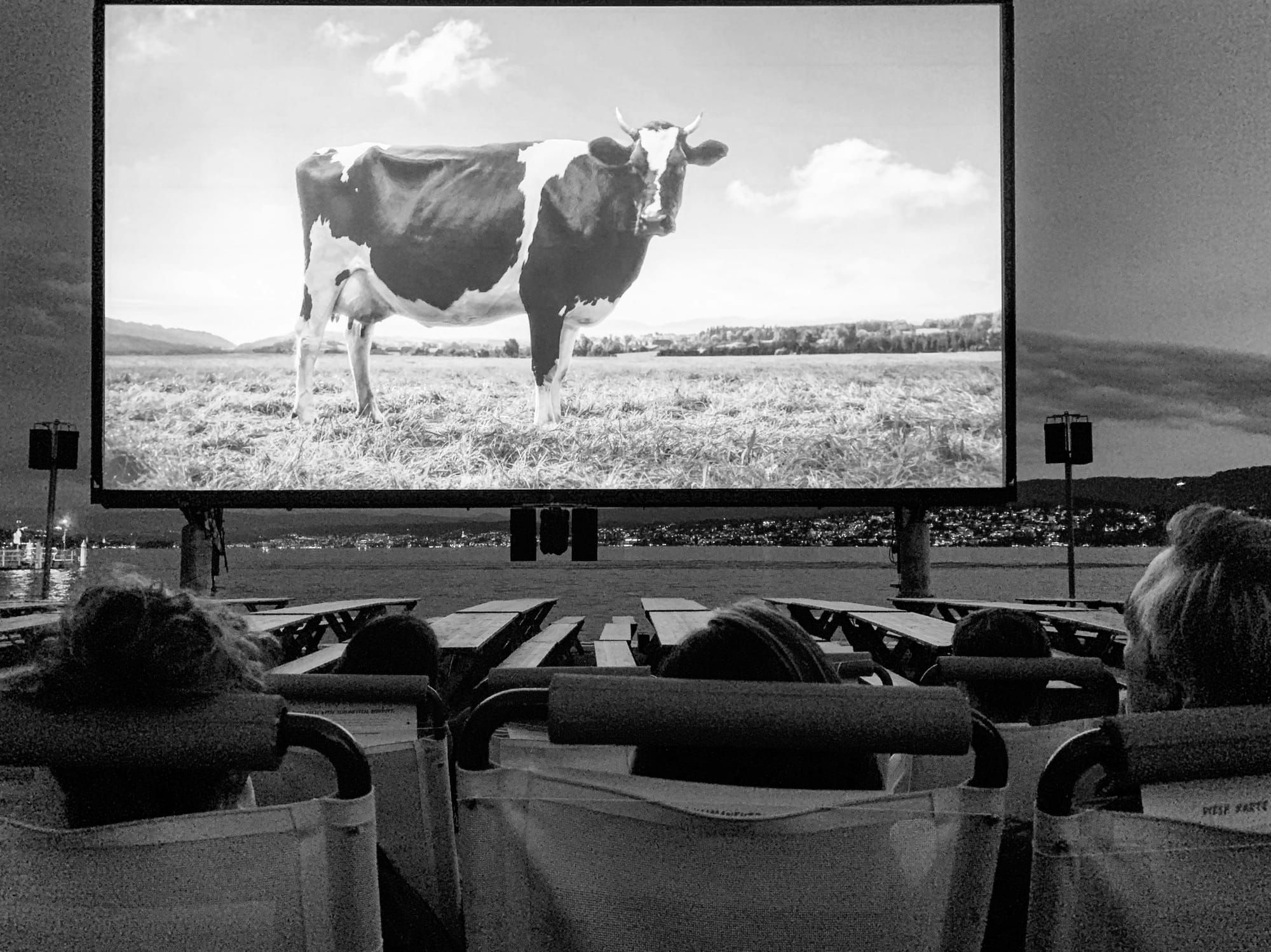 8 Film Clubs and Festivals in the UK Sharing The Beauty of African Films