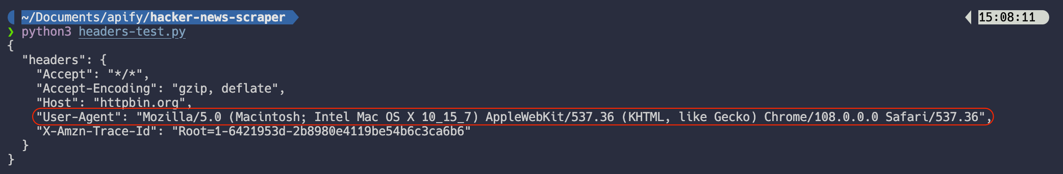 request headers printed to the console