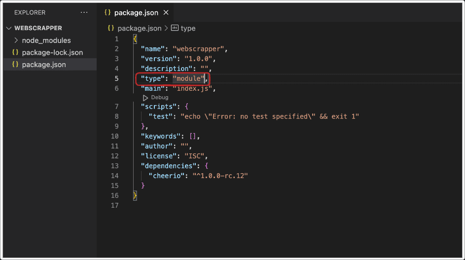 module in package.json