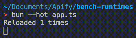 Bun. Hot reload.