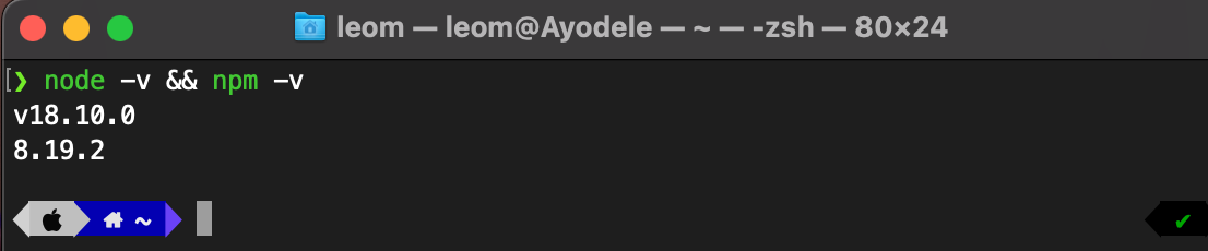 terminal screenshot, showing node and npm version installed on a computer