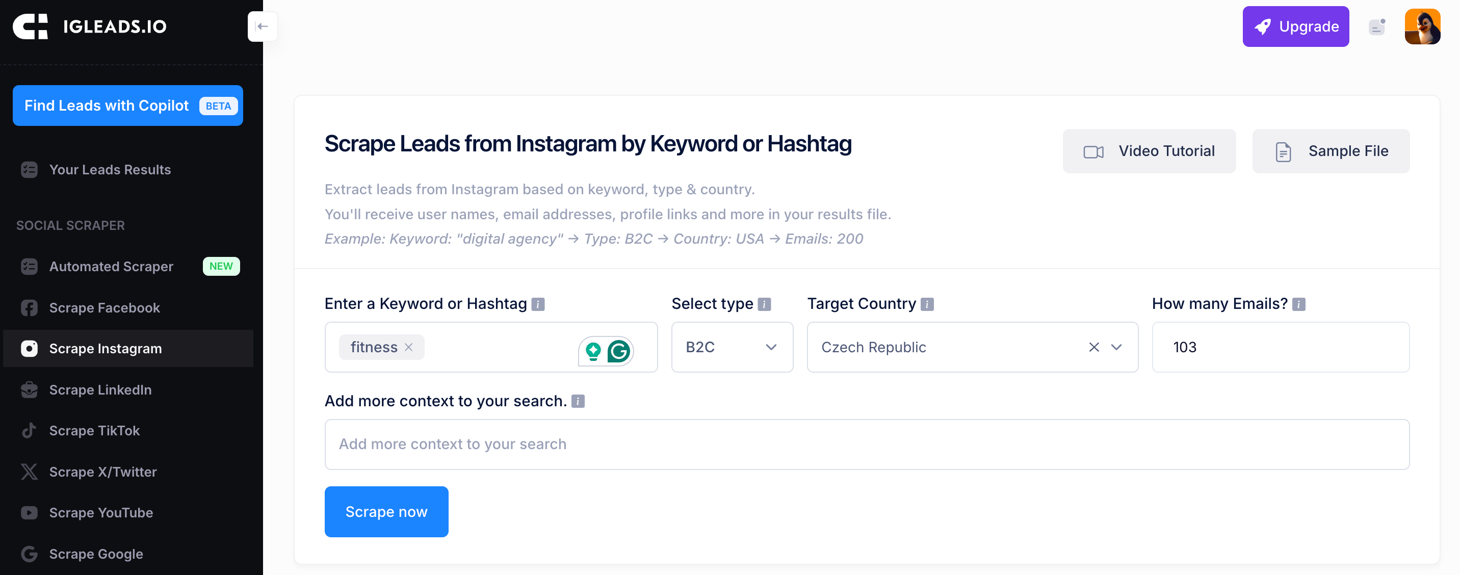IGLeads UI input screen