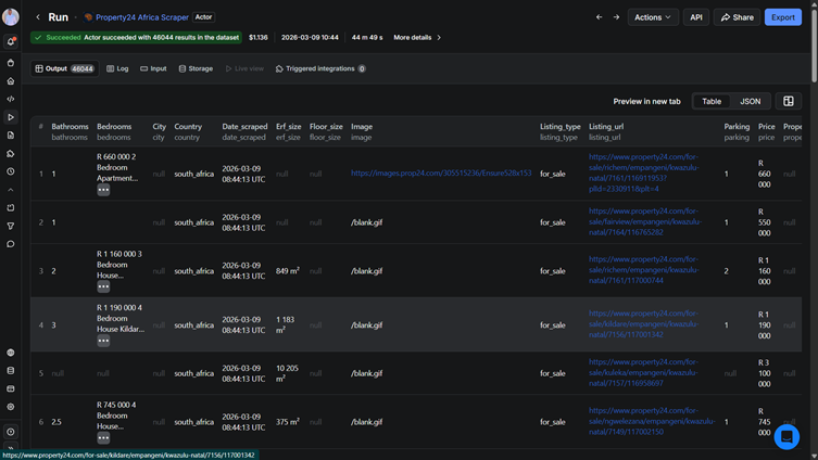 Actor run output