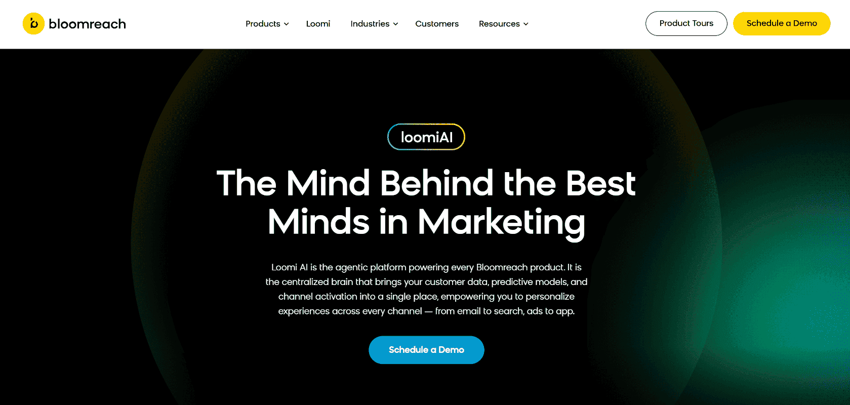 Bloomreach's Loomi AI