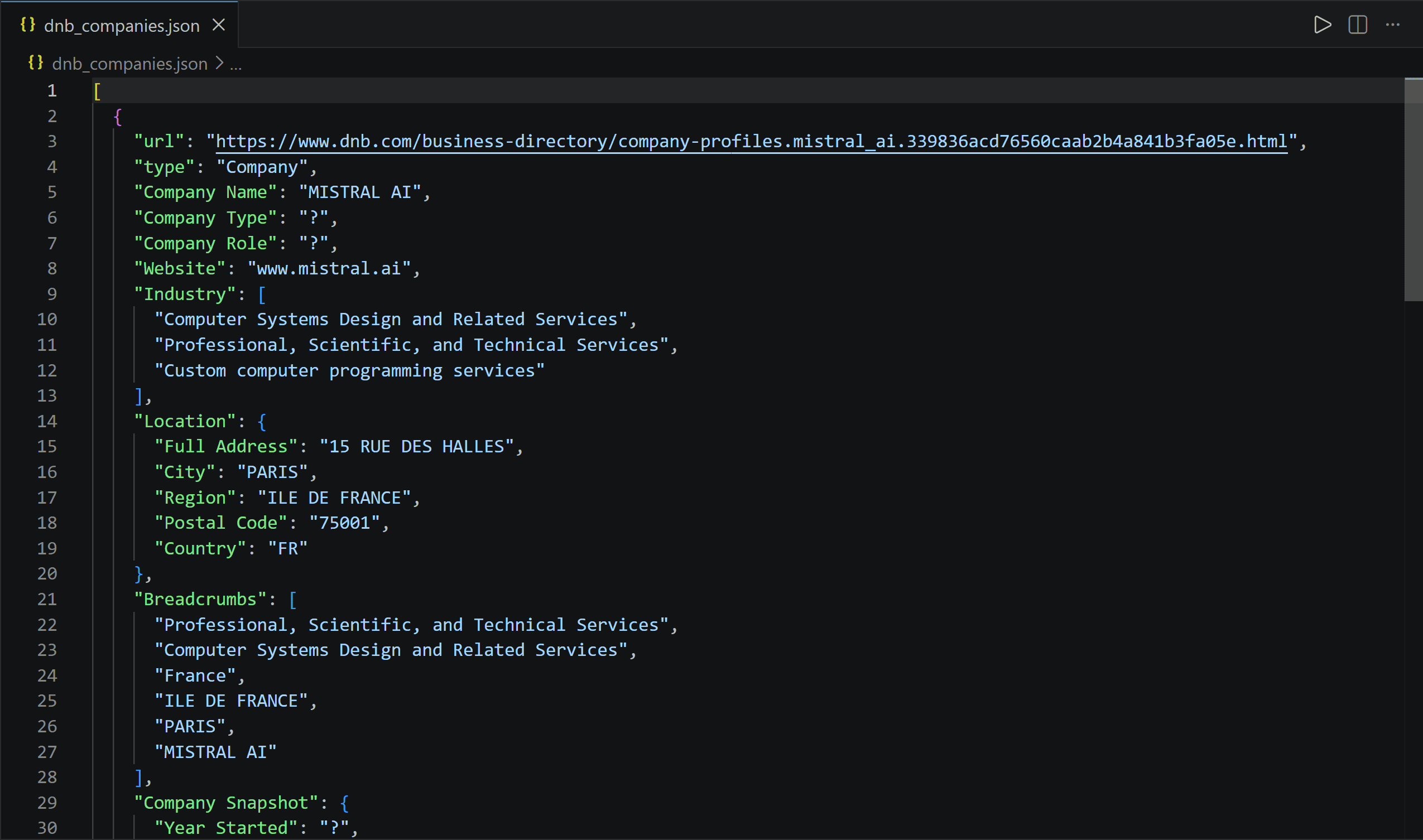 The dnb_companies.json file