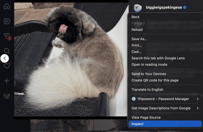 Inspecting an Instagram image to find its CDN URL