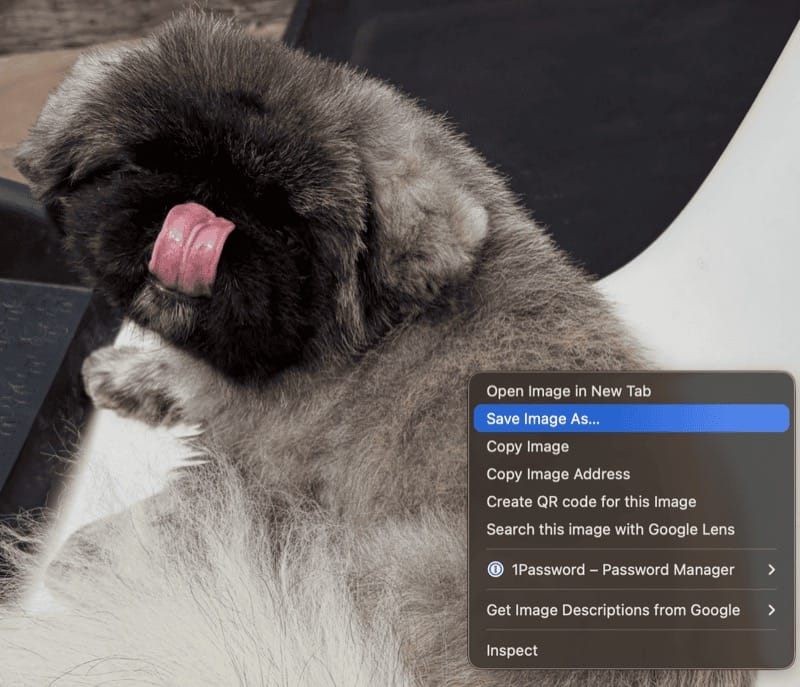 Saving the downloaded Instagram image from the browser