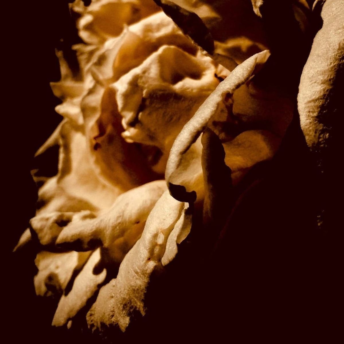 Griefcraft & Sovereignty: A Eulogy for Your 2025 Selves